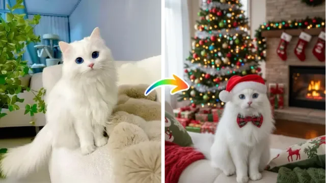效果图